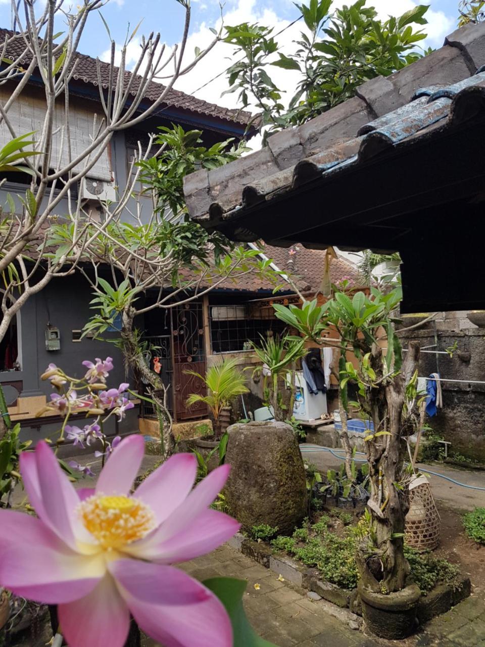 Mawar Homestay Canggu Exterior foto